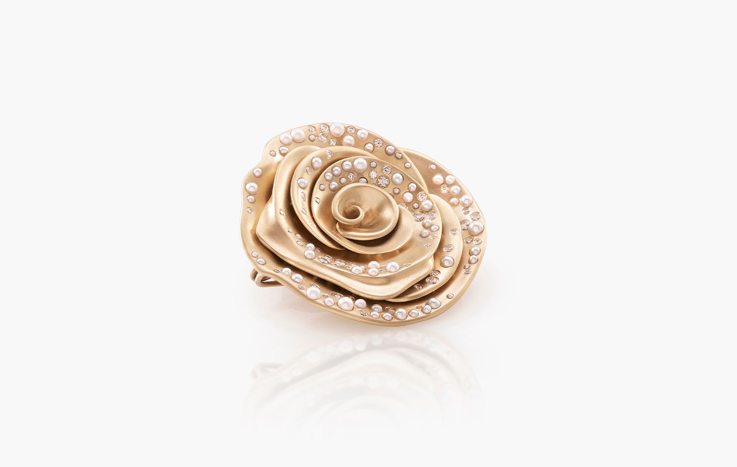 Pop-of-hope_rose-large-