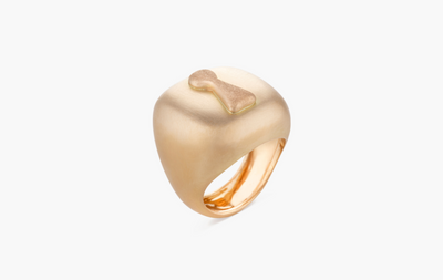 UNLOCK COURAGE RING