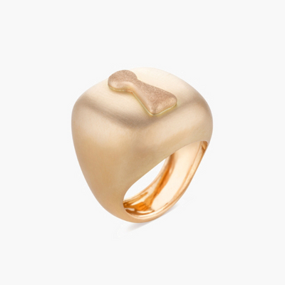UNLOCK COURAGE RING