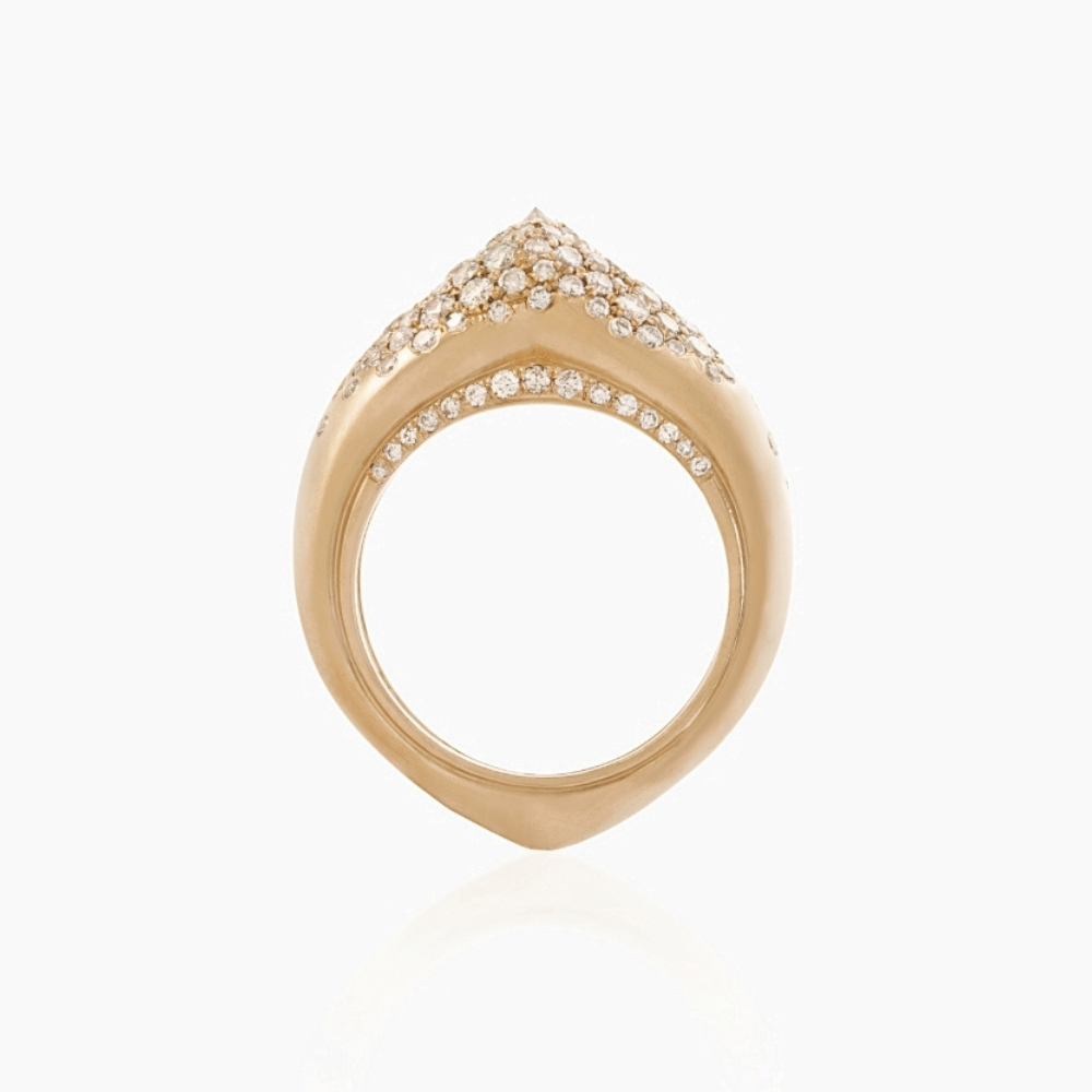 The Arch Power Stripe Big Full Ring