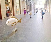 Fish At The Souks